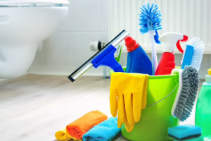 Messie Reinigung Lörrach